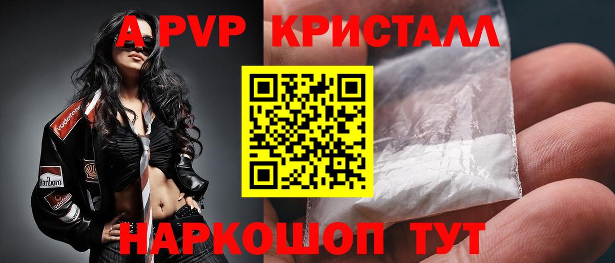 Alfa_PVP СК Сунжа