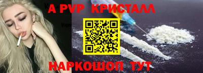 СК Новодвинск