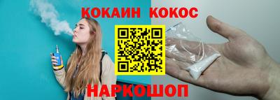 СК Новодвинск