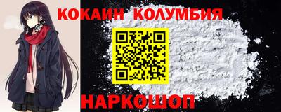 СК Новодвинск