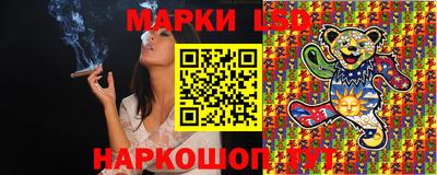 прущие грибы Новозыбков