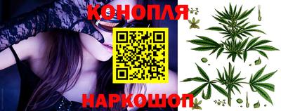 прущие грибы Новозыбков