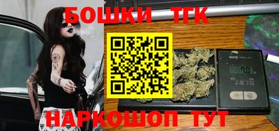 СК Новодвинск
