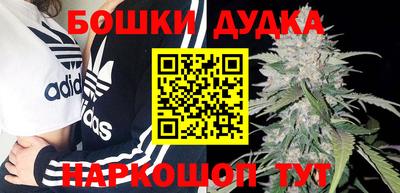 прущие грибы Новозыбков