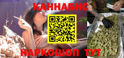 СК Новодвинск