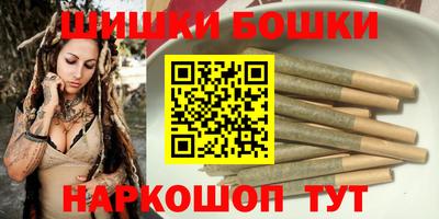 прущие грибы Новозыбков