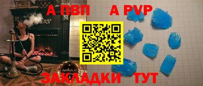 СК Новодвинск