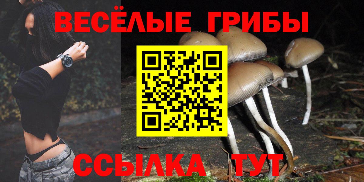 Псилоцибиновые грибы MAGIC MUSHROOMS  Вход с VPN  Сунжа 